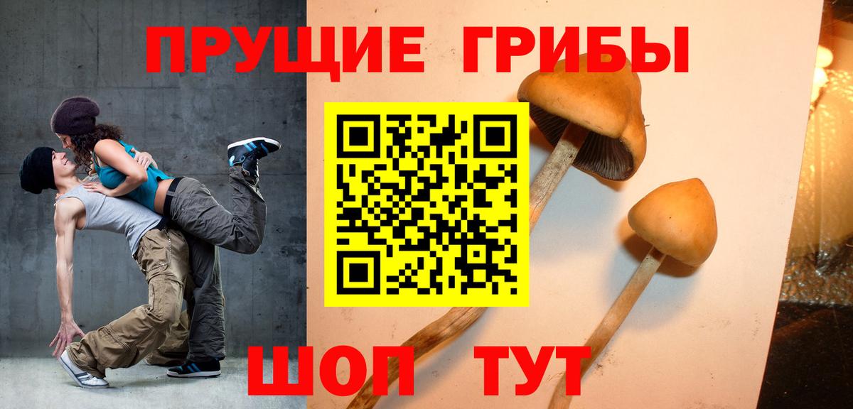 Псилоцибиновые грибы Cubensis  Вход с VPN  Галлюциногенные грибы ЛСД  Ахтубинск 
